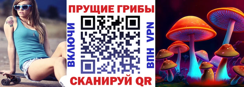 МЕГА ONION  Мончегорск  Псилоцибиновые грибы мухоморы 